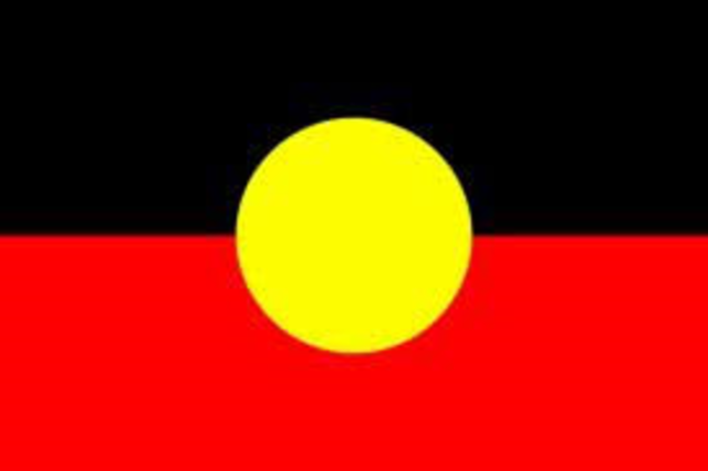 Aboriginals were allowed to vote