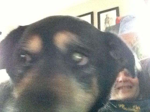 Jessie, mi primer perro