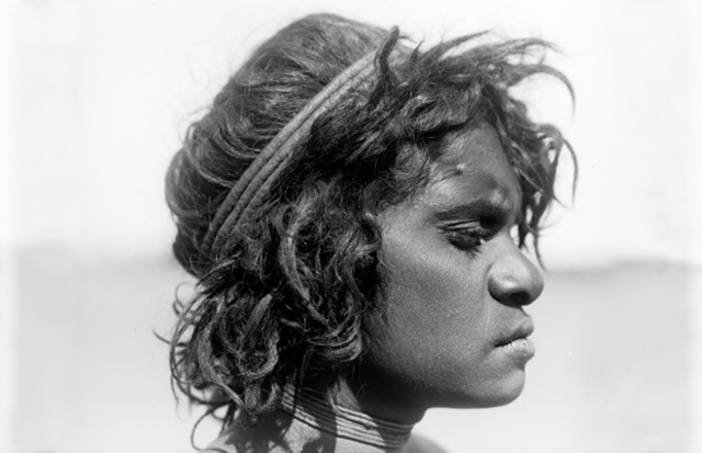 Whites were allowed to shoot any aboriginals