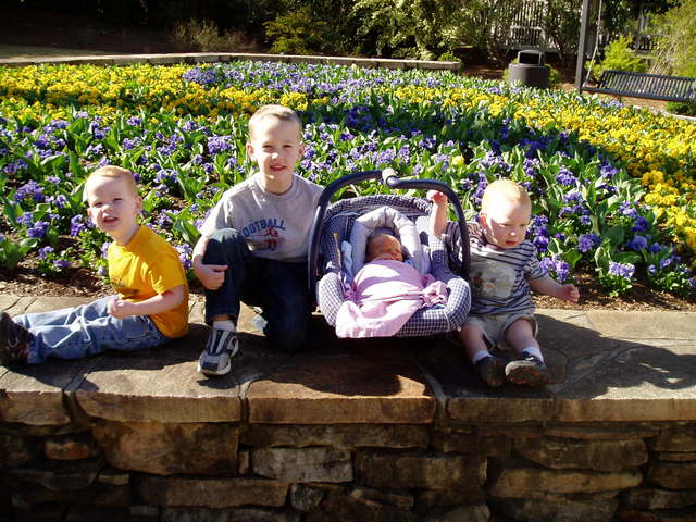 Birmingham Botanical Gardens