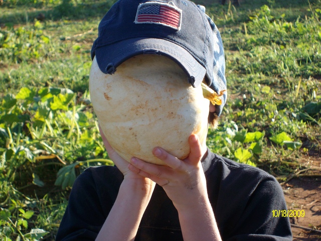 Pumkin Patch 2009