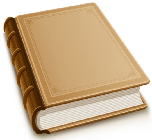 Amir has first novel accepted