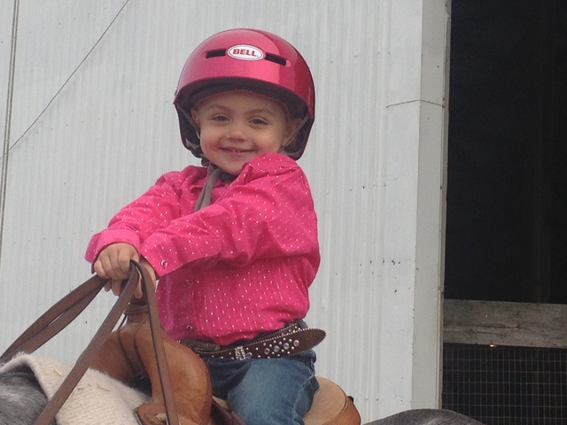 First Horse Show