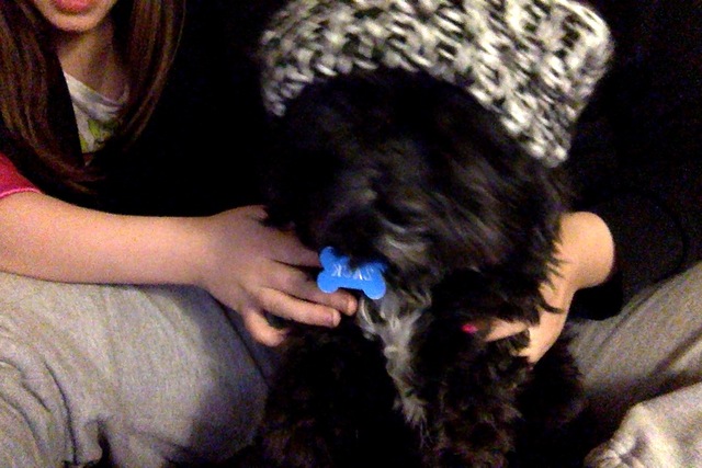 Ja'i un chien est ne