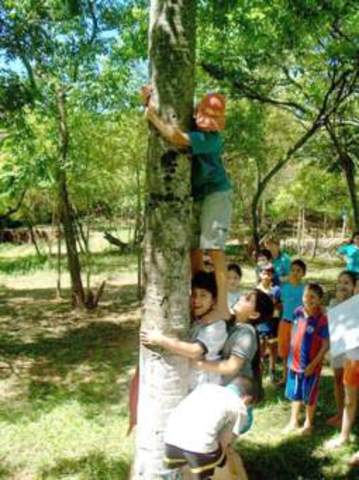 Lakeshore campamento