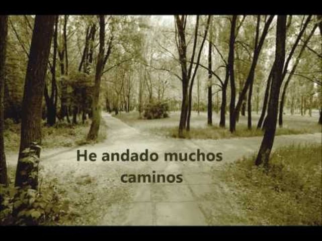 he andado muchos caminos