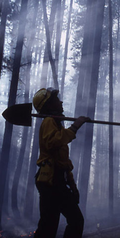 Yellowstone Fires of 1988