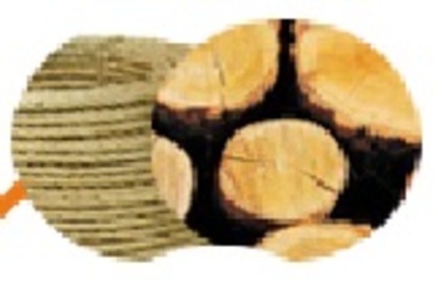 Linea de tiempo de los Patines.