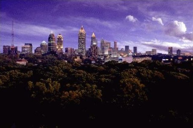 crabbe goes out of the wild