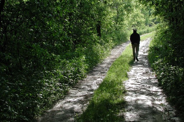 Hassan and Ali Leave