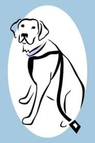 Vu's dog passes away