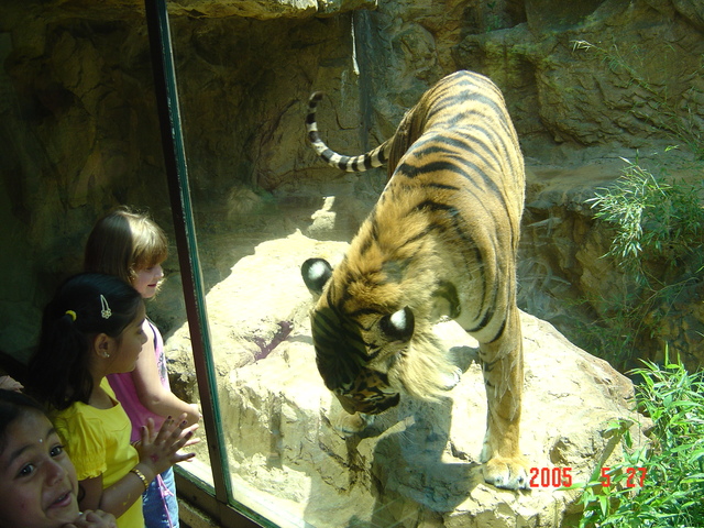 First trip to Birmingham Zoo