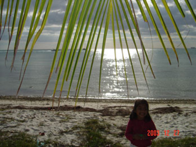 My first beach trip to Miami , FL