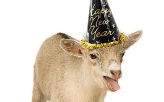 Yo consegui una cabra