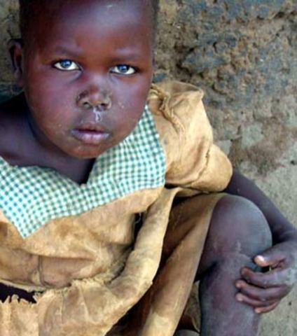 Insecticide-treated bednets