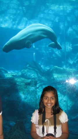 Visit to Atlanta Acquarium