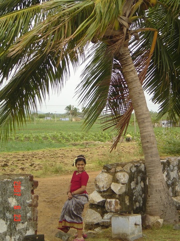 Visited another state, Kerala in India