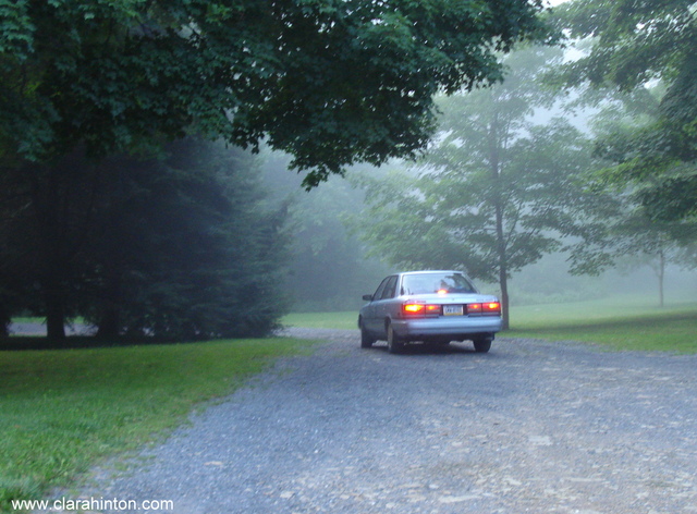 Ali and Hassan Leave