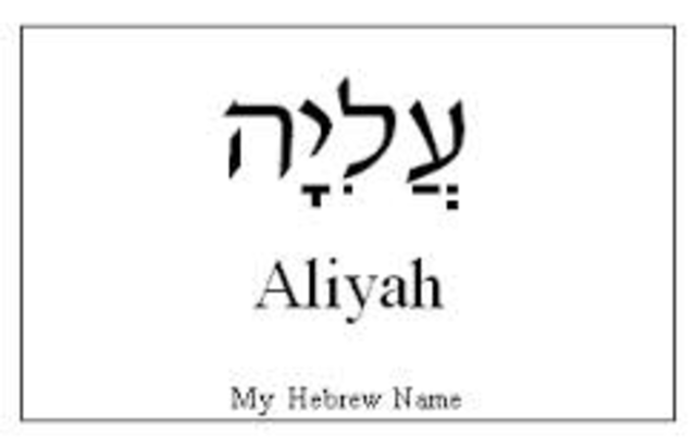 special language used in the novel