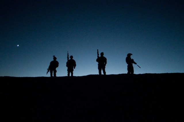 Senior Member of the Teams