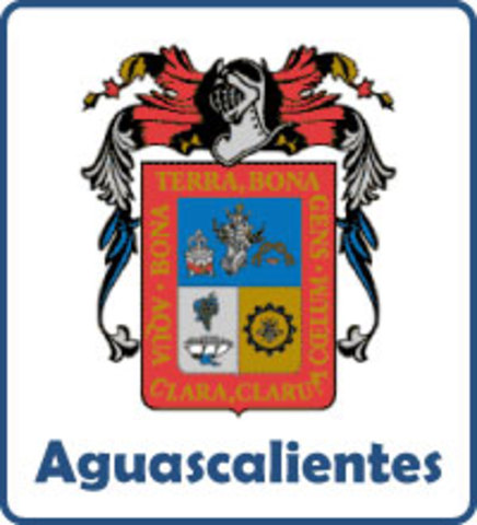 ley de videovigilancia