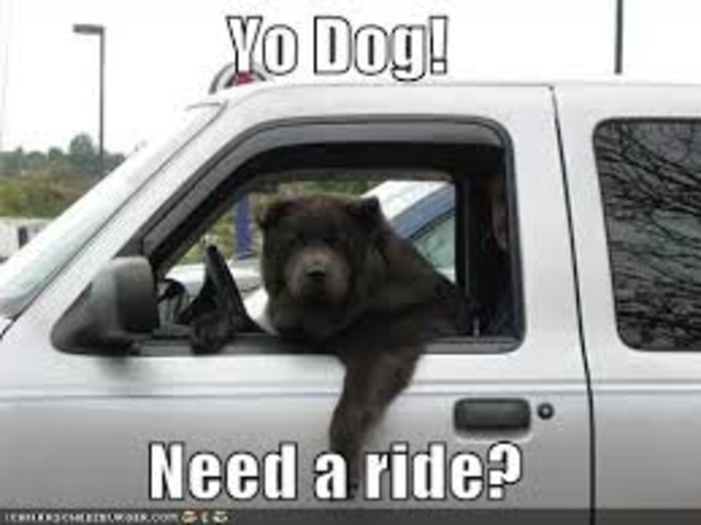 Calls Franz to pick hm up