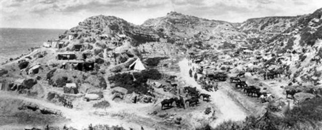 The Battle of Gully Ravine