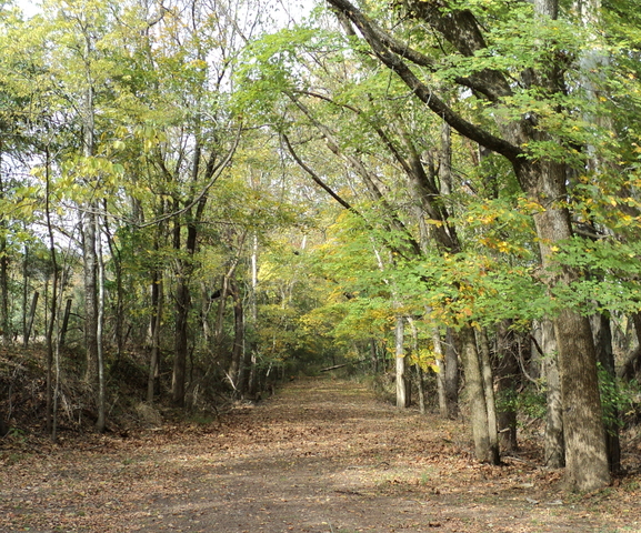 Treated like a slave