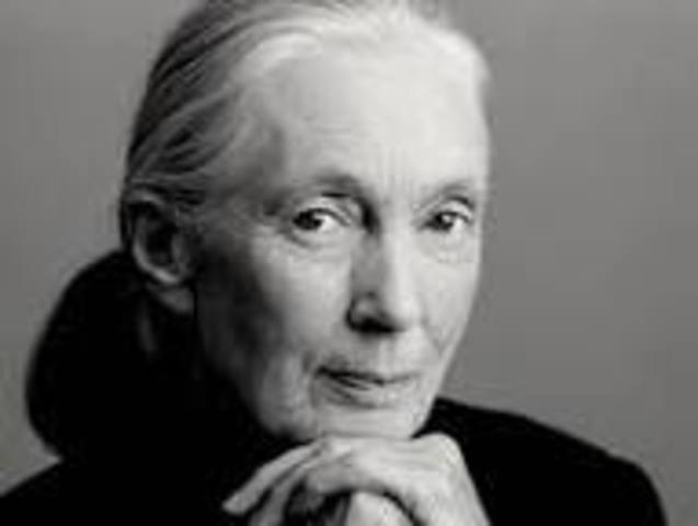 Jane Goodall