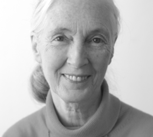 Jane Goodall