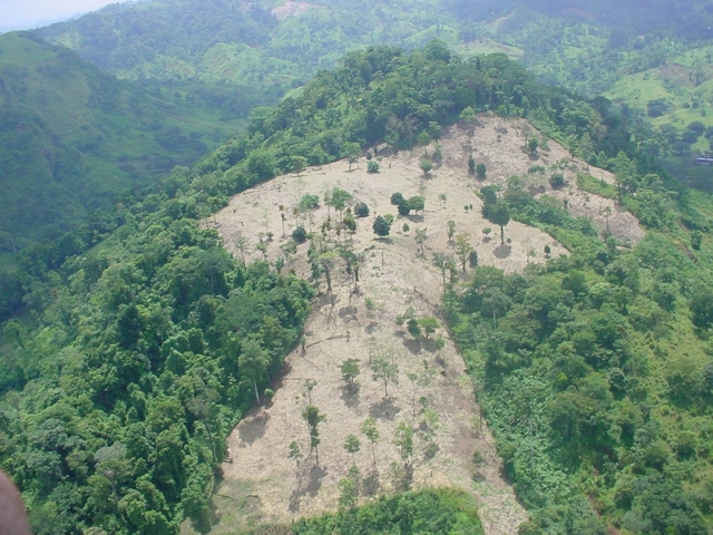El Congreso aprobó la Ley de la Reserva Forestal que estableció la Yellowstone Timberland Reserve como la primera reserva forestal federal.
