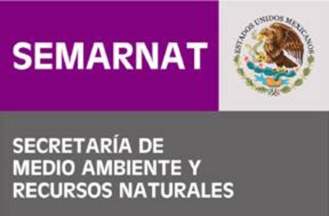 Secretaria de Turismo y Secretaria del Medio Ambiente y Recursos Naturales. Política y estrategia Nacional para el Desarrollo Turístico sustentable (Programa de Turismo Sustentable en México “Agenda 21 para el Turismo Mexicano).