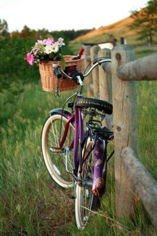 Yo manajé la bicicleta.