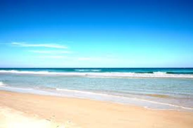 Yo fuí a la florida.