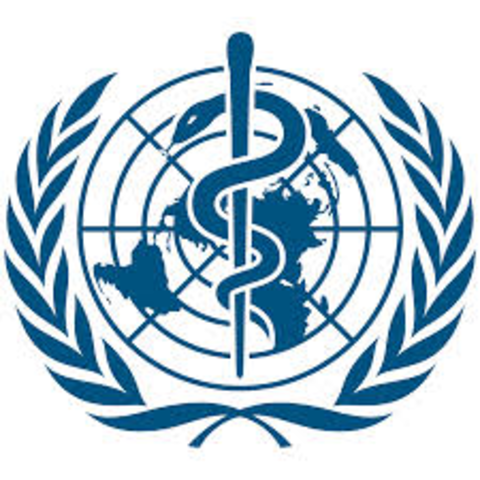 World Health Organization announces that the swine flu is a global pandemic
