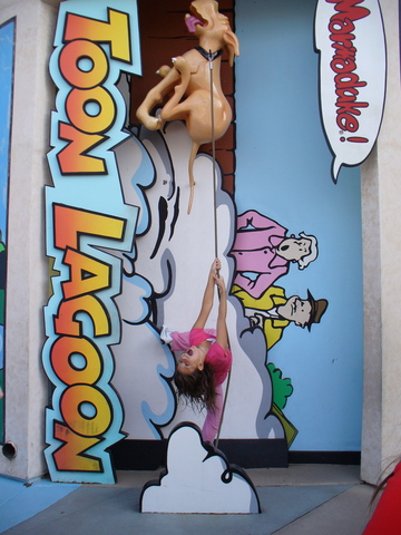 Me fuí a Estados unidos