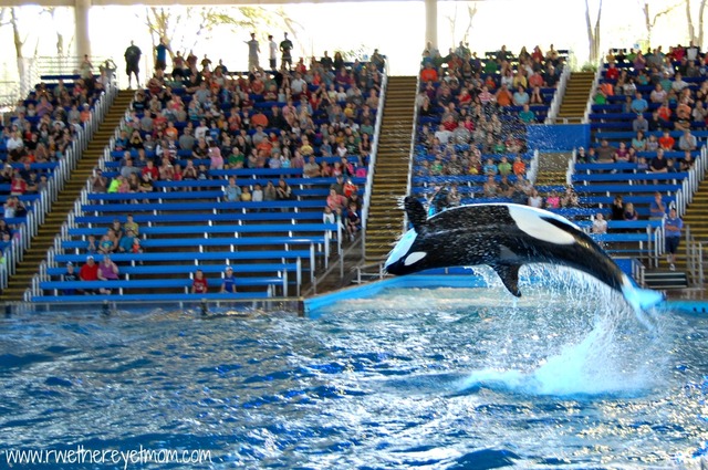 Yo visité San Antonio cuando yo tienda cince años edad.