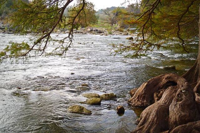 Yo nadé en el río de Guadalupe