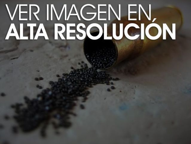 Invenció de la Polvora