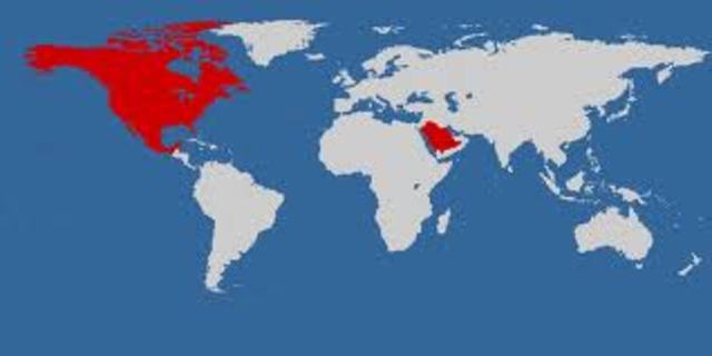 United States and the Post-Cold War World