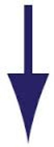 Economy drops along with the employment rate.