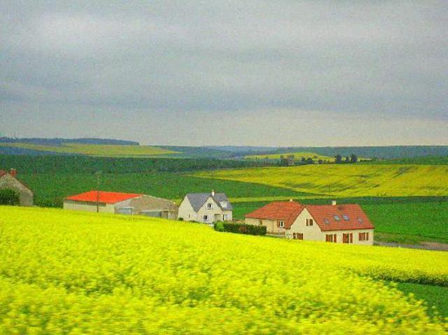 John Lost all Lands in France