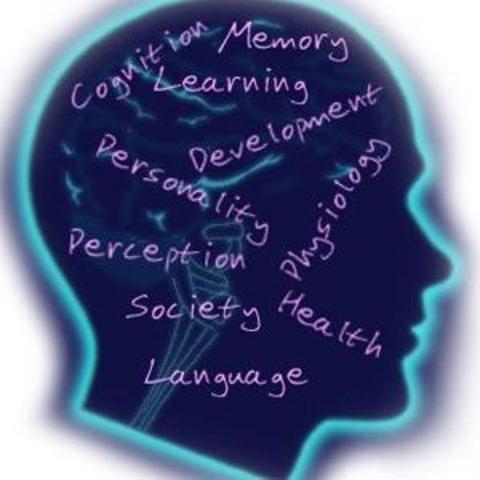 Attend school playing basketball majoring in psychology