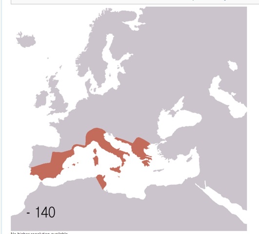 Grece leads to Rome being born