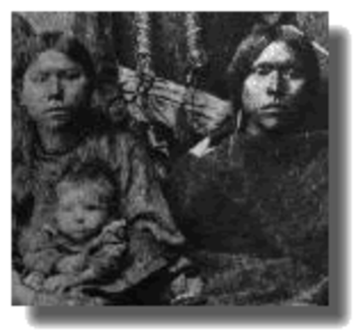 Native Texan population reaches 42,000