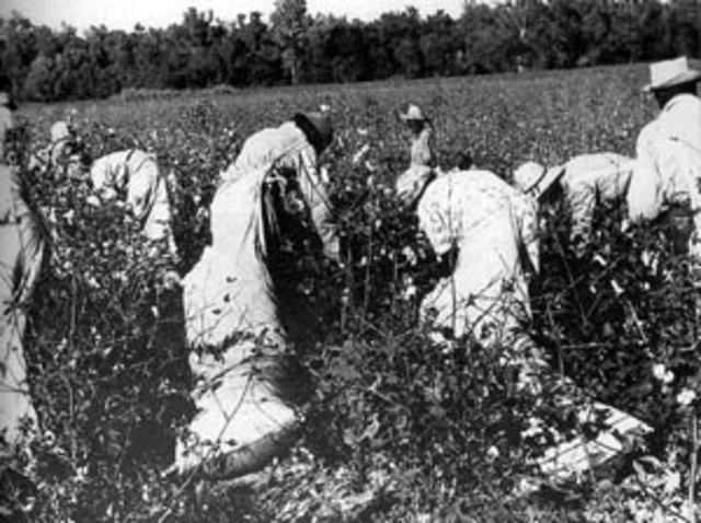 Slavery inds in Texas