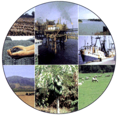 DIVISION DE RECURSOS NATURALES