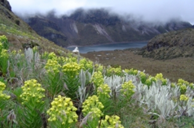 CONVENIO PARA LA PROTECCIÓN DE LA FLORA, DE LA FAUNA Y DE LAS BELLEZAS ESCENICAS NATURALES DE LOS PAISES DE AMÉRICA