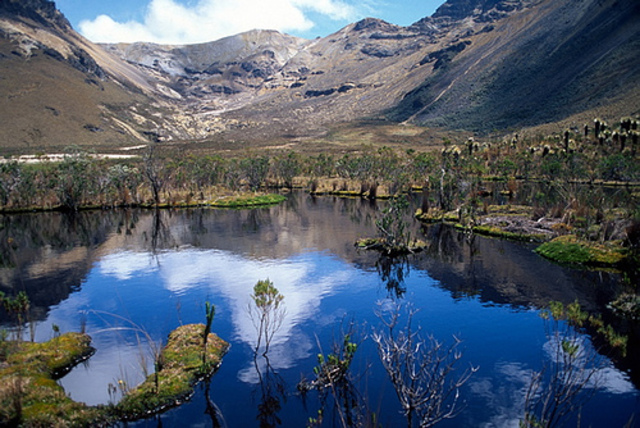 Parques Nacionales(colombia)