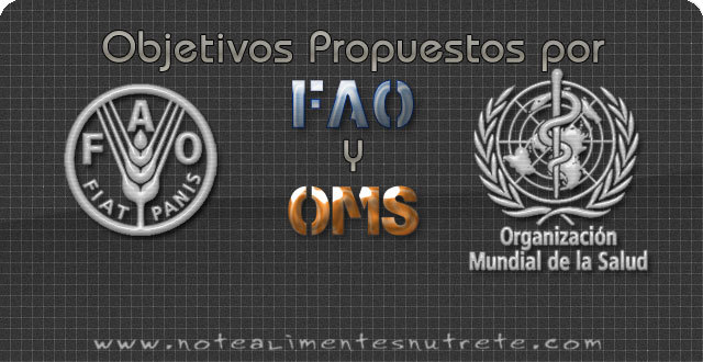 Construccion comite FAO/OMS